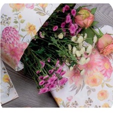 Ref. 2501228020